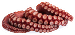 Squid Tentacles On Dish Sticker