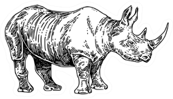 Standing Large Rhino Sketch Sticker