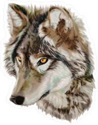 Staring Realistic Wolf Sticker