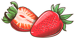 Strawberry In Vintage Sticker