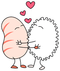 Sushi And Rice Ball Love Sticker