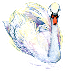 Swan Watercolor Illustration Sticker