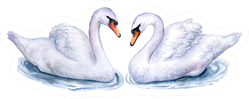 Swans Isolated On White Watercolor Illustration Sticker
