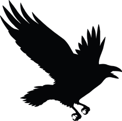 The Black Silhouette Of A Crow Flying Rook Sticker