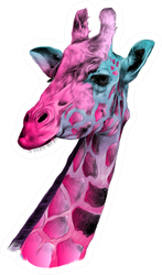 The Head Of A Giraffe Sketch Colorful Sticker