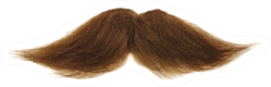 Thick Brown Mustache Isolated On A White Background Sticker