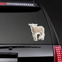 Lamb (8 Weeks Old) Isolated On White Sticker