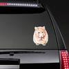 Animal Sketch Cute Little Red Round Hamster Sticker
