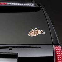 Little Ferret Puppy Lying On Back Sticker