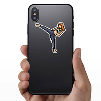 Pixel Art Martial Artist Sticker