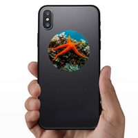 Starfish And Sponge Of The Mediterranean Sea Sticker