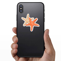 starfish Friends Isolated On White Sticker