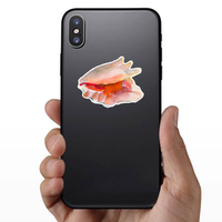 Watercolor Seashell In Pink Sticker