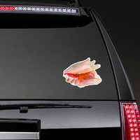 Watercolor Seashell In Pink Sticker
