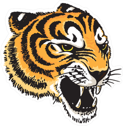 Tiger Head Illustration Sticker