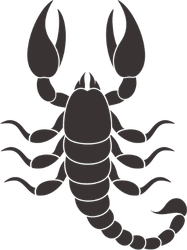 Top View Scorpion Sticker