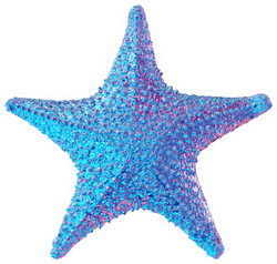 Trendy Gradient Starfish Isolated Sticker