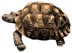 Turtle with Large Shell Sticker