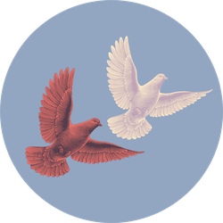 Two Doves Flying In The Sky Sticker