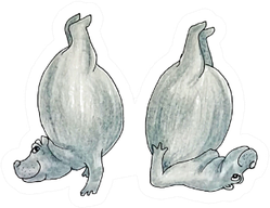 Two Funny Cute Hippos Are Standing On Their Heads Sticker