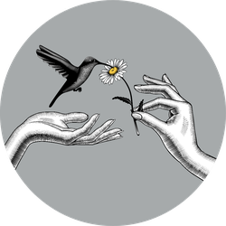 Two Hands With A Chamomile Flower And Hummingbird Sticker