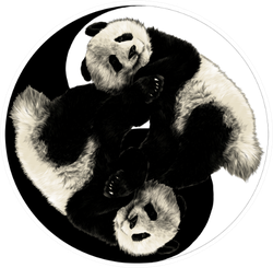 Two Pandas Are On The Sign Yin-yang Sticker