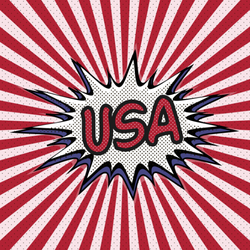 USA Pop Art Sticker