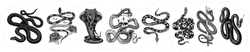 Vintage Snake Set Sticker