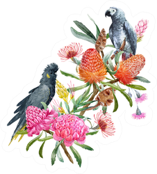 Watercolor Australian Floral Bouquet And Cockatoos Sticker