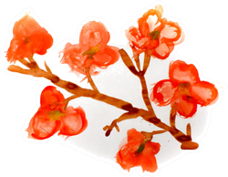 Watercolor Beautiful Sakura Branch Sticker