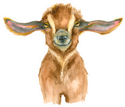 Watercolor Goat Head Cute Sticker