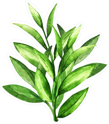 Watercolor Green Leaves Sticker