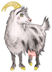 Watercolor Illustration Of A Goat Sticker