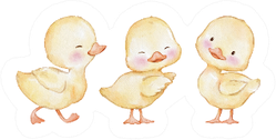 Watercolor Illustration, Set Of Cute Easter Ducklings Sticker