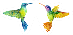 Watercolor Illustration, Set Of Two Beautiful Tropical Birds Sticker