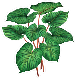 Watercolor Palm Tree Leaves Sticker