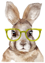Watercolor Portrait Of Rabbit With Glasses Sticker