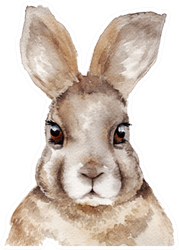 Watercolor Rabbit Portrait Sticker