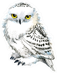 Watercolor Snowy Owl Sticker