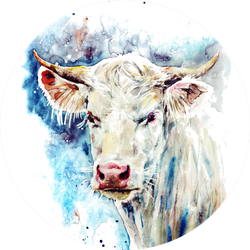 Watercolor White Cow On The Colorful Texture Background Sticker