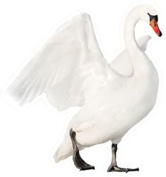 White Swan Isolated On White Sticker
