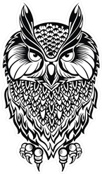Wise Old Owl Illustration Sticker