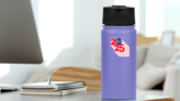 2025 Pink Iceland Sticker on a Water Bottle (New) example