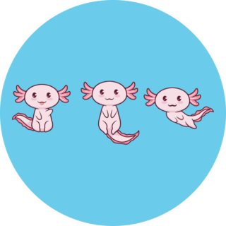 3 Axolotl Blue Sticker