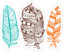 3 Colorful Feathers Sticker