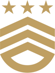 3 Stars Military Design Sticker