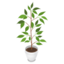 3D Indoor Potted Plant Sticker