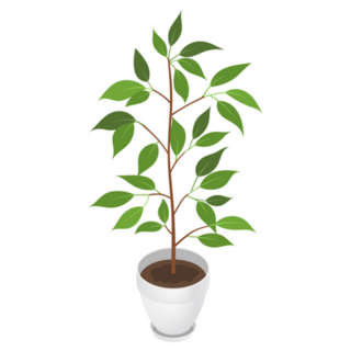 3D Indoor Potted Plant Sticker