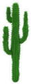 3D Rendering Cactus Sticker