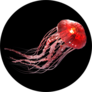 3d Rendering Of Pink Jellyfish Isolated On Black Sticker